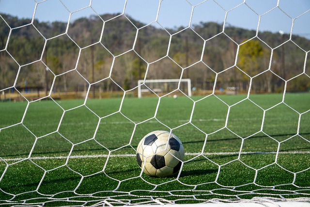 带来了无比 带来了无比