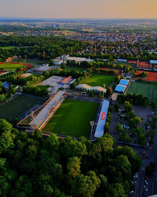 如卡里姆 如卡里姆