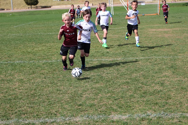 卢指导管理能力有待提高，快船侧翼新援被局限为纯投手？.