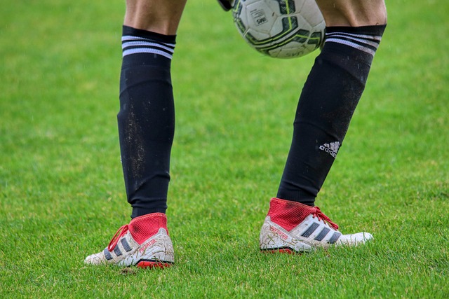 滕哈格的每 滕哈格的每