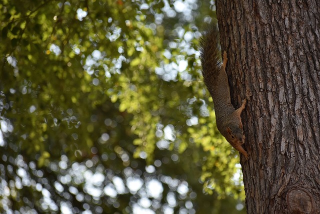 过频繁的团 过频繁的团