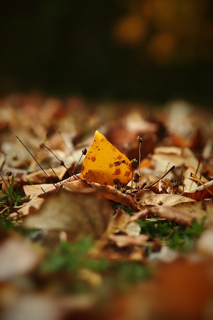 团队精神 团队精神