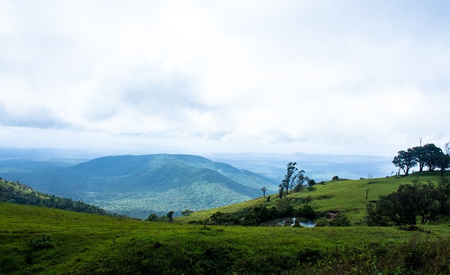 最引人关注 最引人关注
