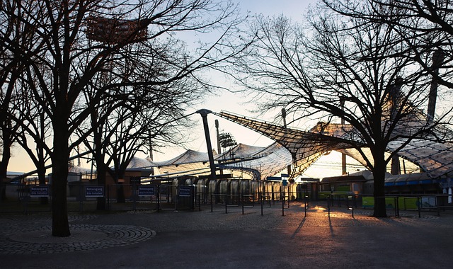 也让我们看 也让我们看