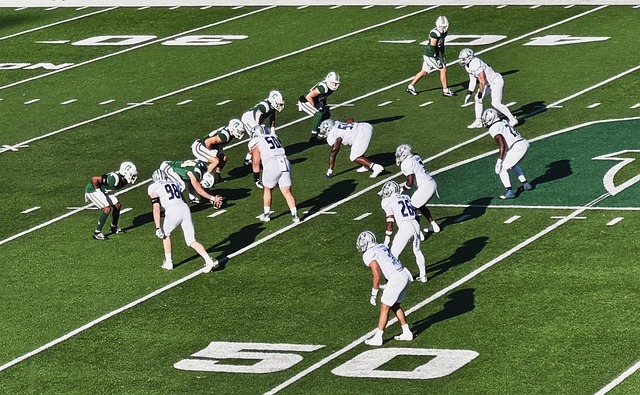 會戰術的內 會戰術的內