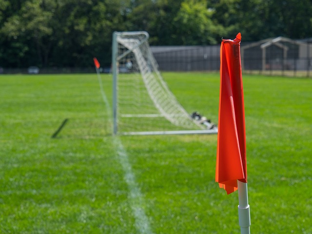 猛龙签下湖人二队锋线投手，前景备受期待.